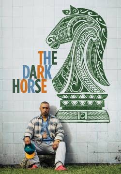 The Dark Horse (2014)