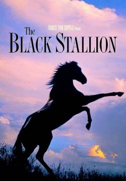 Black Stallion (1979)