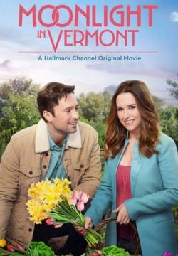 Moonlight in Vermont - Amore al chiaro di luna (2017)